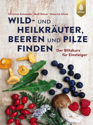 cover image of Wild- und Heilkräuter, Beeren und Pilze finden